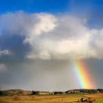 Die Homöopathie kann uns dabei unterstützen, Wetterumschwünge besser zu verarbeiten. Wir haben Dr. Erfried Pichler um ein paar hilfreiche Tipps bei Wetterfühligkeit gebeten.
