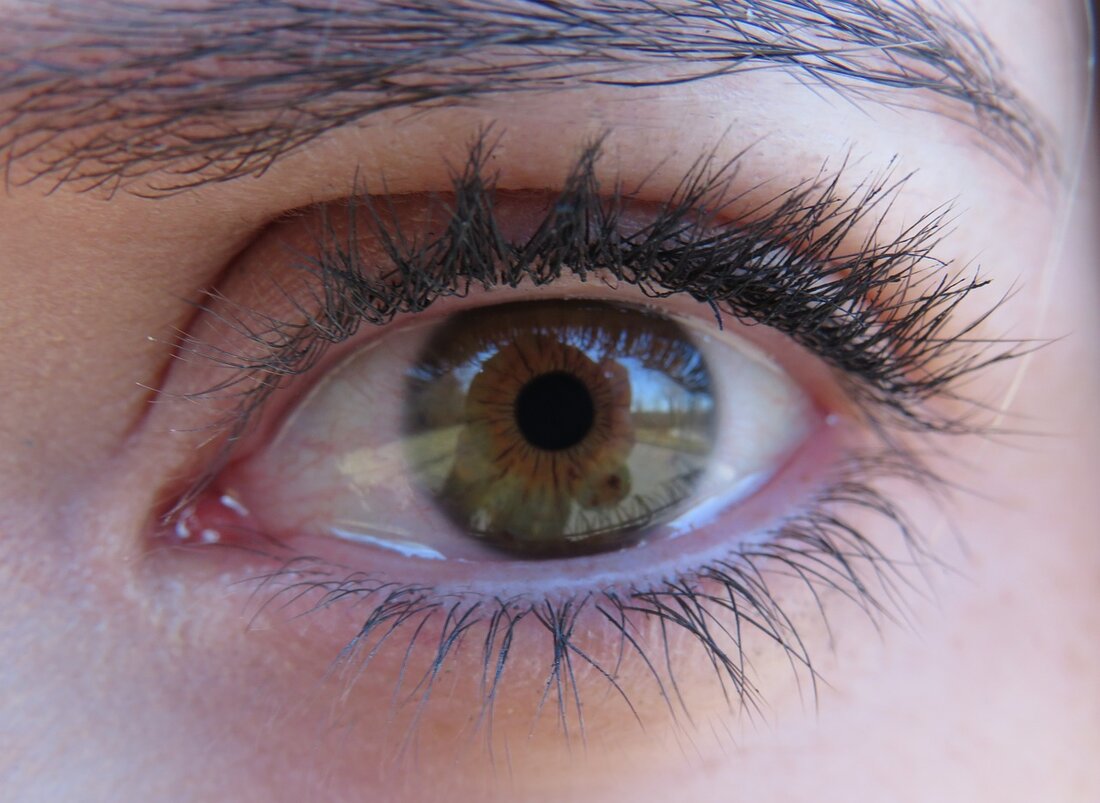 Bindehautentzündungen, auch Konjunktivitis genannt, zählen zu den verbreitetsten Augenerkrankungen. Sie können in jeder Jahreszeit auftreten, doch besonders in den Wintermonaten und während der Grippesaison sind sie eine häufige Erscheinung. Die Entzündung der Bindehaut – der durchsichtigen Schleimhaut, die das Weiße des Auges und das Innere der Augenlider überzieht – kann durch verschiedene Ursachen ausgelöst werden, wobei Viren und Bakterien die Hauptverursacher sind. Symptome einer Bindehautentzündung Die klassischen Symptome einer Bindehautentzündung umfassen: Rötungen des Auges Tränenfluss Juckreiz In manchen Fällen die Bildung einer eitrigen Absonderung Diese Beschwerden können nicht nur unangenehm sein, sondern auch die täglichen Aktivitäten erheblich beeinträchtigen. Homöopathische Behandlung …