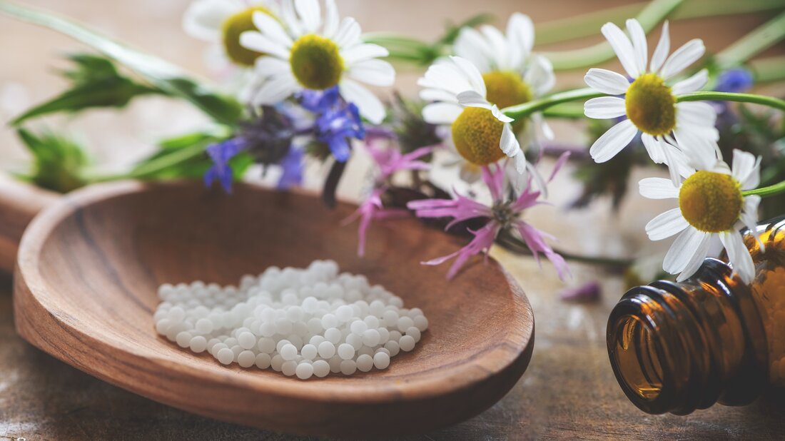 Die Homöopathie ist der Ganzheitsmedizin zuzuordnen. Das heißt, sie betrachtet nicht nur körperliche Symptome, sondern auch seelische Befindlichkeiten oder geänderte Verhaltensweisen. Dabei folgt die Homöopathie strengen Prinzipien. Die drei wichtigsten Prinzipien der Homöopathie sind: Das Ähnlichkeitsprinzip – Ähnliches wird mit Ähnlichem geheilt Die Arzneimittelprüfung – mit ihr werden die Symptome der Arznei ermittelt Die Potenzierung, also die Verdünnung und Verschüttelung der Arzneimittel In der klassischen Homöopathie steht der Mensch, das Tier, das Individuum im Mittelpunkt. Daher ist Homöopathie eine Medizin der Person und des Tieres. Meist wird die homöopathische Medizin bei akuten und chronischen Krankheiten als alleinige Therapiemethode angewendet. Es &hellip;
