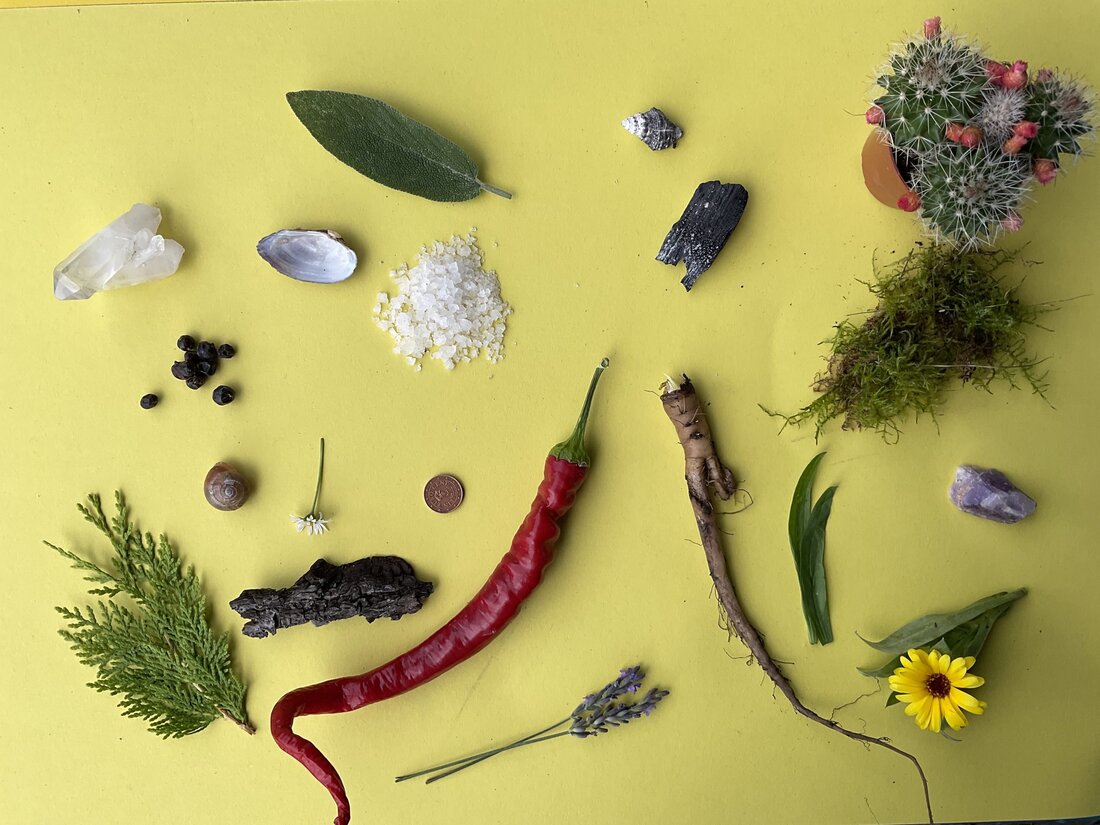 Homöopathische Mittel werden nicht, wie fälschlicherweise oft angenommen, nur aus Pflanzen hergestellt. Auch Mineralien, tierische Substanzen oder Nosoden) werden verwendet. Einige der Substanzen, die in der Homöopathie zu Arzneimitteln verarbeitet werden, dienen als Nahrungsmittel (z.B. Weizen, Reis, Kartoffel), Genussmittel (z.B. Tabak, Kaffee), andere sind giftig (z.B. Tollkirsche, Schlangengift, Arsen), andere wiederum rufen in ihrer ursprünglichen Form keinerlei Reaktionen hervor.. Pflanzliche Substanzen Heimische Heilkräuter, wie Kamille, Holunder oder Ringelblume, exotische und auch giftige Pflanzen, wie etwa die schon erwähnte Tollkirsche, sie alle finden Verwendung in der Homöopathie. Verarbeitet werden vor allem Frischpflanzen, seltener Pflanzen in getrockneter Form, ganze Pflanzen oder Pflanzenteile …