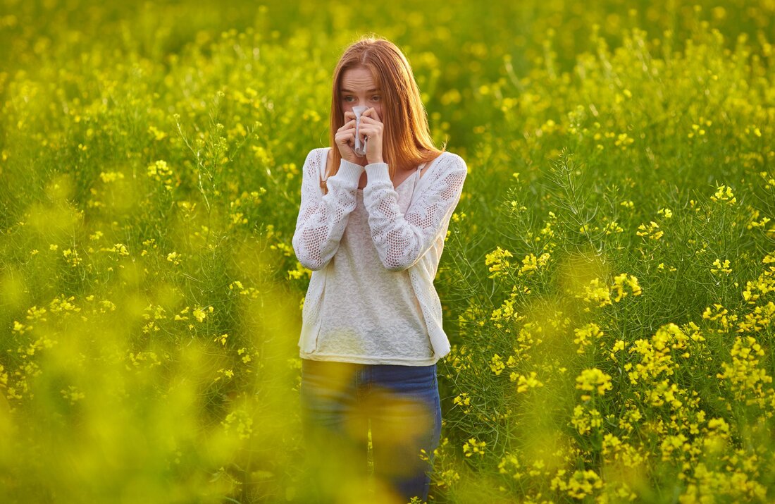 Als eine der häufigsten Formen von Allergien, die auftreten können, kennen ihn alle Betroffenen vor allem aus dem Frühling und den frühen Sommermonaten: Den Heuschnupfen. Während der Pollenzeit betrifft er insbesondere die Atemwege und löst einen starken Fließschnupfen mit Niesreiz und einem Jucken in den Augen aus. Des Weiteren können auch Atembeschwerden auftreten, die sich mit dem Begriff des allergischen Asthmas zusammenfassen lassen. Eine Liste mit gängigen Mitteln und deren Wirkungsweise haben wir hier angeführt. Eine Grundveranlagung zur Allergie sollte jedoch nur von einem ausgebildeten Homöopathen behandelt werden. Eine Selbstbehandlung mit den unterschiedlichen Mitteln und deren Dosierungen ist erst dann &hellip;