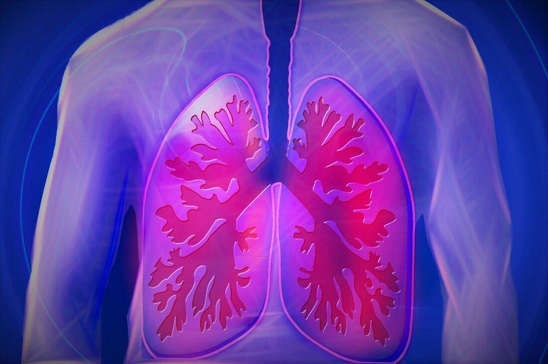 In Österreich gilt die COPD als „Volkskrankheit“: Schätzungen zufolge leiden zwischen 400.000-800.000 Menschen an der Atemwegserkrankung. Somit ist fast jede(r) Zehnte über 40 Jahren von der im Volksmund als „Raucherlunge“ bezeichneten Krankheit betroffen. In den Industriestaaten ist COPD die vierthäufigste Todesursache. COPD wird meistens durch Rauchen verursacht und Husten ist eines der vorherrschenden Symptome. Verschlechtert sich die COPD akut, husten die Patienten mehr zähen Schleim aus, leiden vermehrt unter Atemnot und müssen möglicherweise beatmet werden. In den Vereinigten Staaten werden pro Jahr rund 500000 Patienten mit COPD wegen einer akuten Verschlechterung ihrer Erkrankung ins Spital aufgenommen. Müssen die Patienten wegen ihrer …