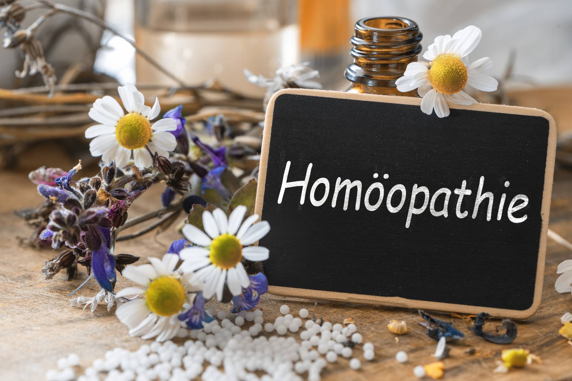 Im Gespräch: Dr. med. Erfried Pichler über die „Faszination Homöopathie” und seine Zukunftsvisionen