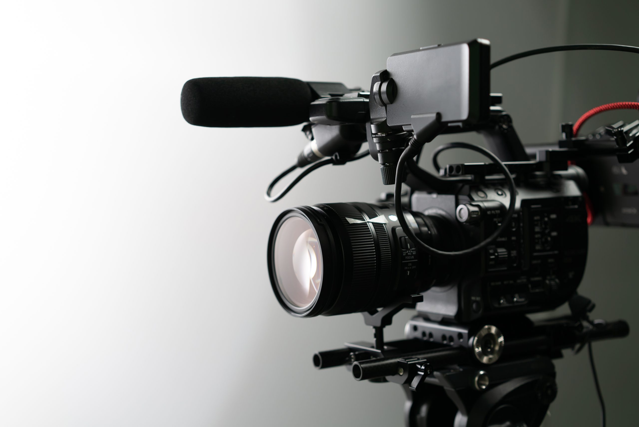 Presse-Bilder | Initiative Homöopathie hilft!