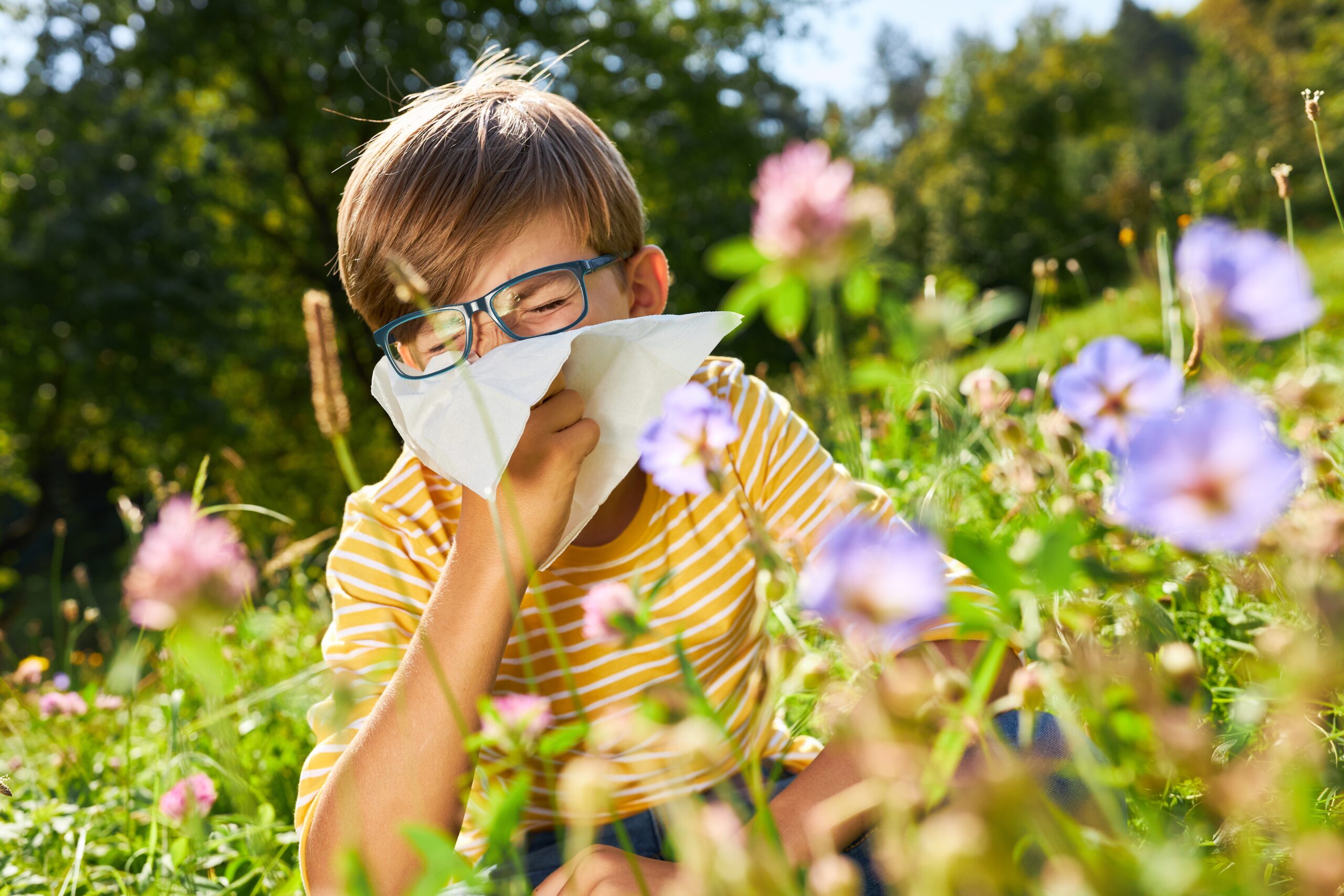Heuschnupfen und Allergien: Homöopathie im Frühling