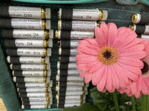 Taschenapotheke
